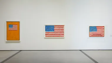 Jasper Johns Flags