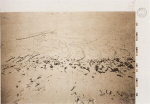 Joseph Beuys - Sandzeichnungen (Sand Drawings), 1978, duotone offset print on offset paper