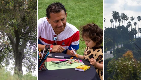 collage of elysian park and a parent and child participating in a family weekend workshop